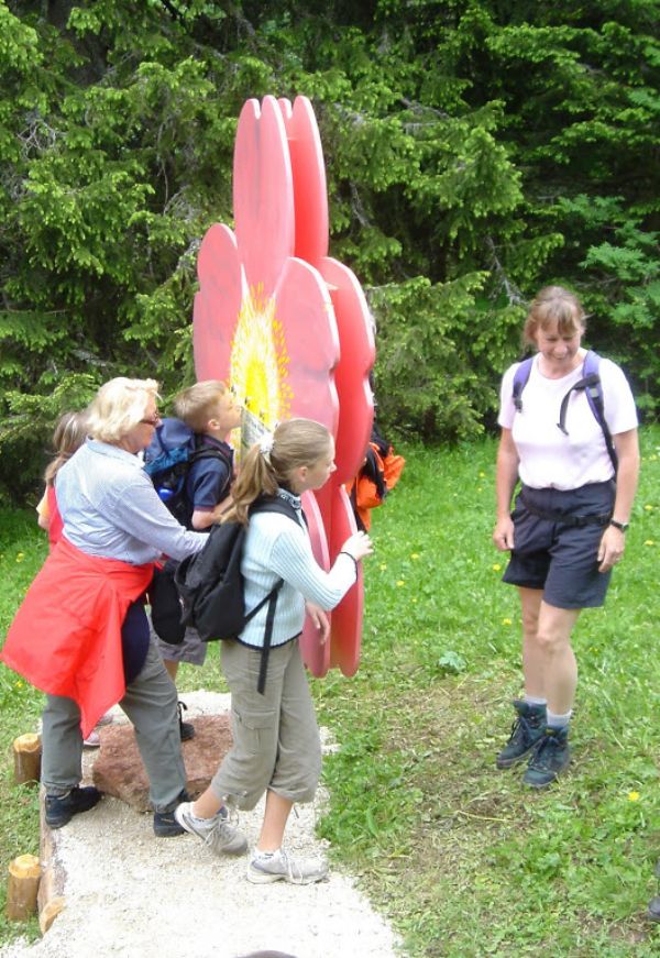 Auf die Alm