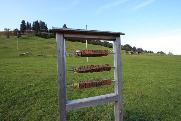 Auf die Alm