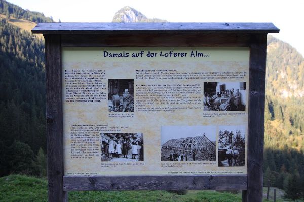 Auf die Alm