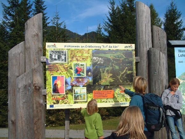 Auf die Alm