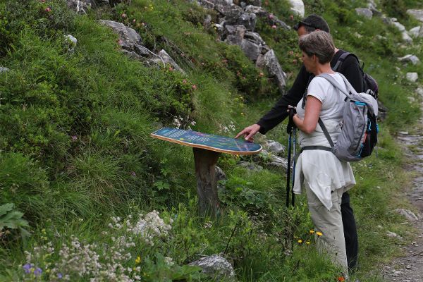Wanderer informieren sich auf einer Tafel entlang des Weges