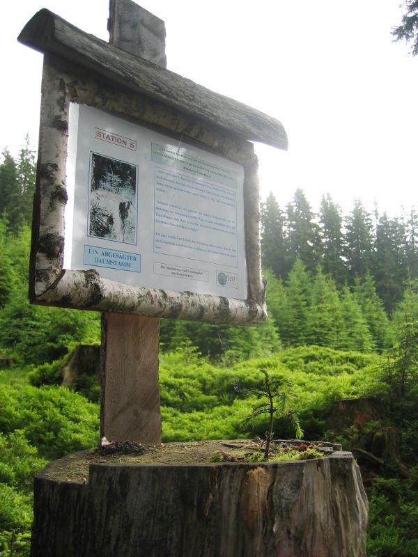 Meditationswanderweg "Mehr Weg ist das Ziel"