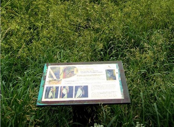 Rund um den Furtnerteich