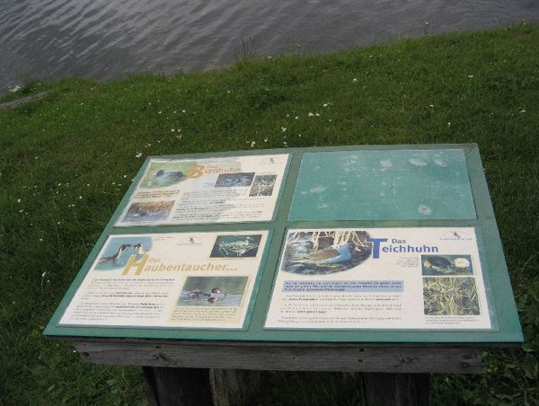 Rund um den Furtnerteich