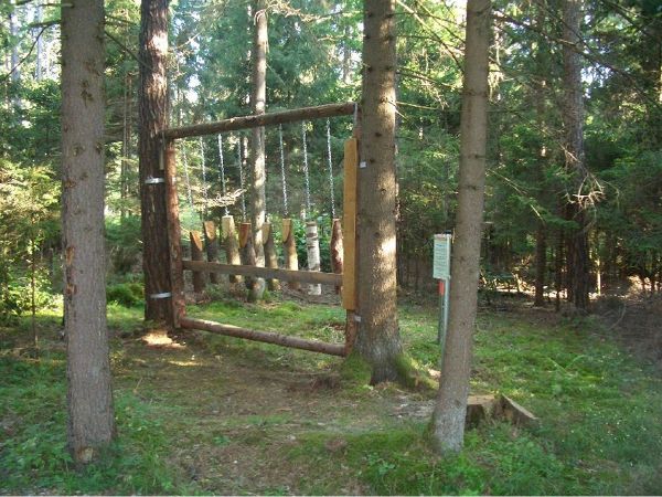 Waldweg der Lebensfreude
