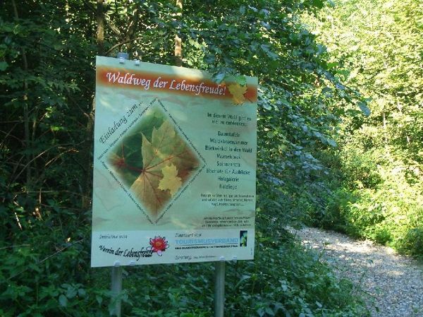Waldweg der Lebensfreude