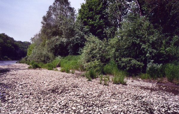 Murecker AuErlebnisWeg