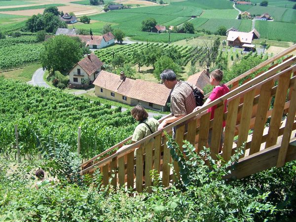 Klöcher Traminerweg: Aussichtswarte