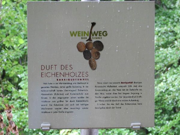 Weinweg der Sinne
