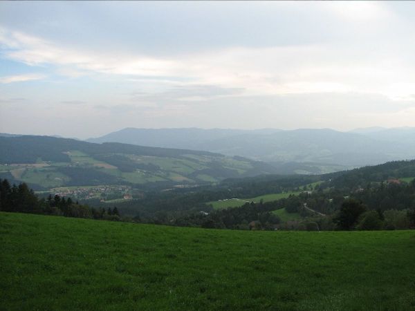 Kultwanderweg Wildwiesen