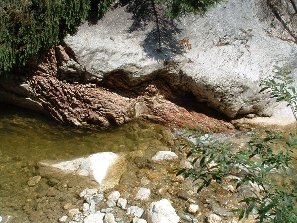Geo-Pfad Obere Ampelsbach-/Filzmoosbach-Schlucht: (Auffälliger) Gesteinswechsel Oberrhätkalk (weiß) - Bunter Liaskalk (rot)