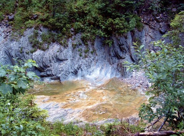 Geo-Pfad Obere Ampelsbach-/Filzmoosbach-Schlucht: Steil aufgestellte und (durch den Bach) erodierte Schrambachschichten