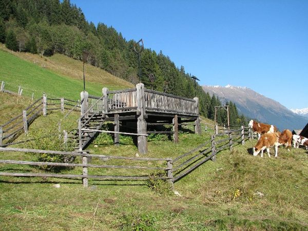 Panoramaweg Leben am Steilhang