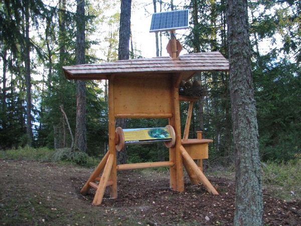 Wildtieren auf der Spur