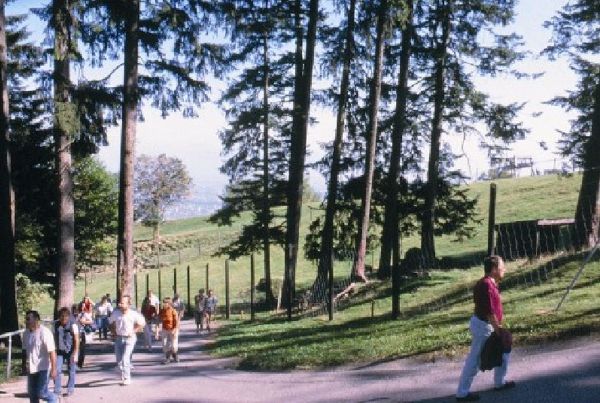 Naturlehrpfad im Alpenwildpark Pfänder