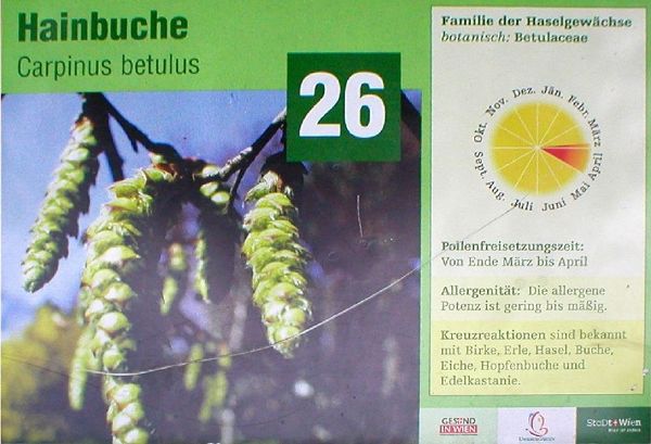 Allergiegarten im Kurpark Oberlaa