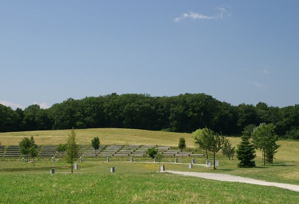 Lebensbaumkreis AM HIMMEL