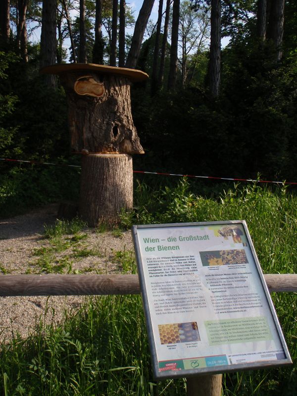 Eine Bienennformationstafel vor einem Baumstamm
