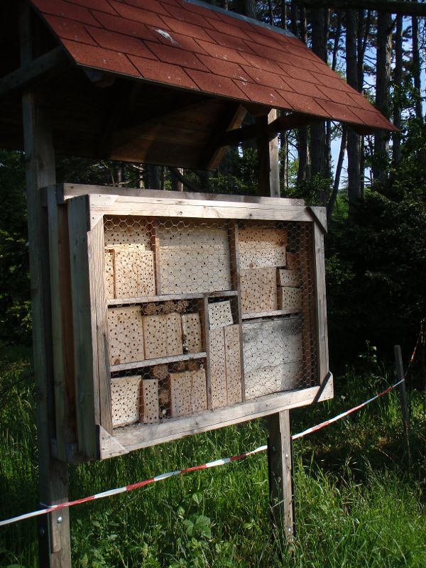 Ein bewohntes Insektenhotel