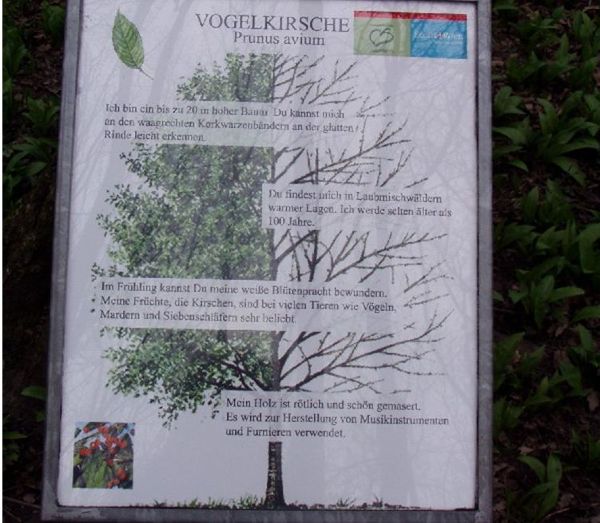 Waldlehrpfad beim Lainzer Tor