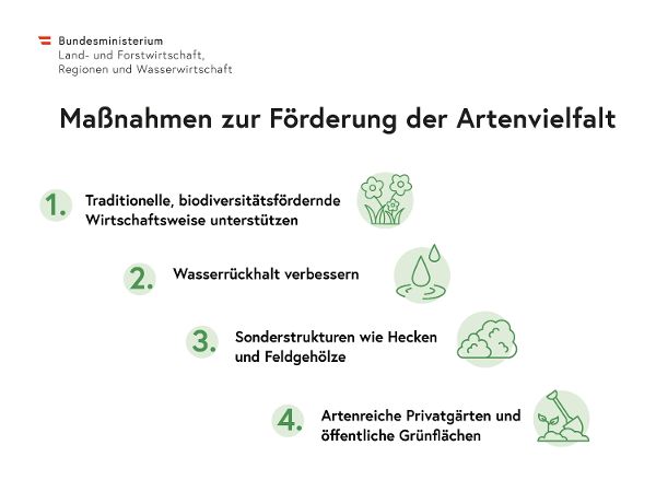 Maßnahmen zur Förerdung der Artenvielfalt
