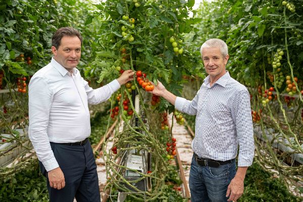 Vor der Paradeiserpflanze: Geschäftsführer Martin Merschl und Bundesminister Norbert Totschnig