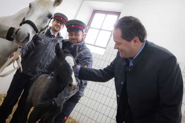 BM Totschnig besucht das Gestüt Piber