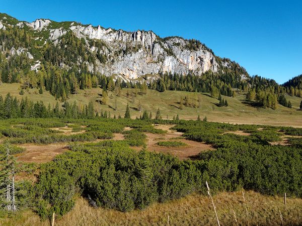 Oberösterreich Wurzeralm, Abteilung V/10, Klara Stiedl