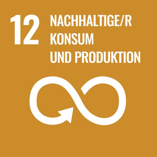 Logo Sustainable Development Goal 12 - Nachhaltige/r Konsum und Produktion
