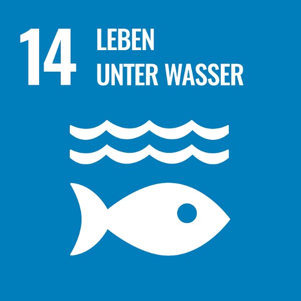 Logo Sustainable Development Goal 14 - Leben unter Wasser
