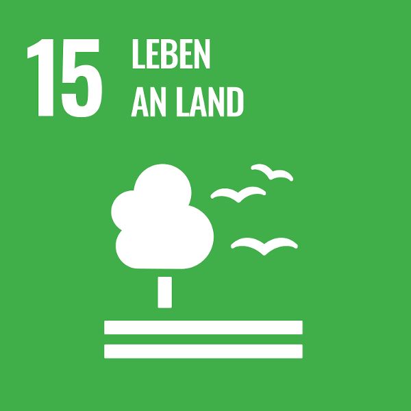 Logo Sustainable Development Goal 15 - Leben an Land