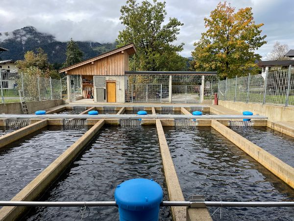 Fischzuchtbetrieb Leonhard Trixl