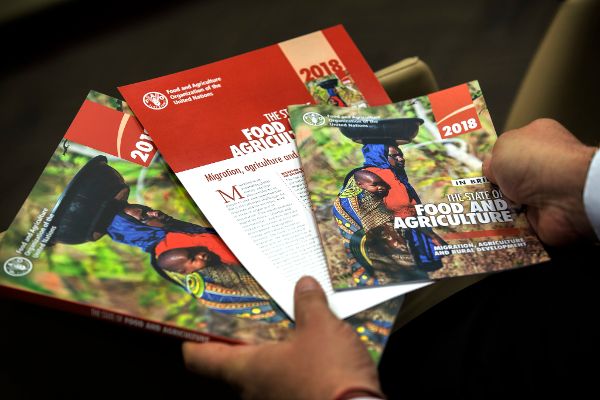 Cover State of Food and Agriculture 2018