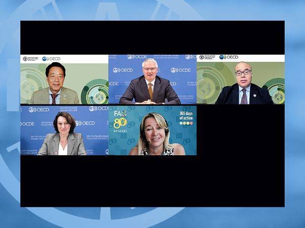 ITALY 2025. Launch of OECD-FAO Agricultural Outlook 2025–2034.