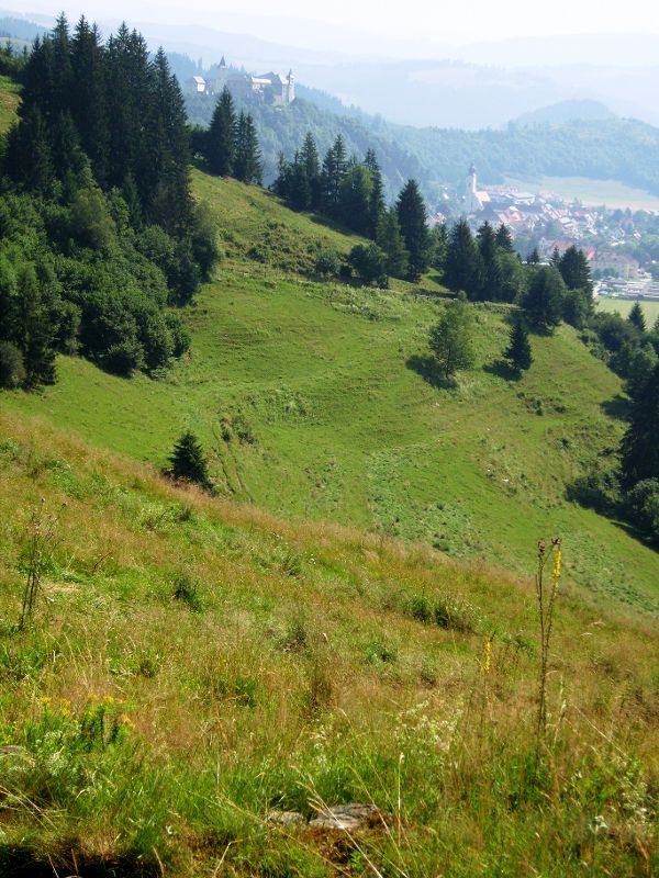 Extensive Weide