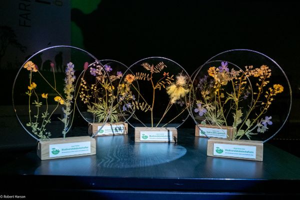 5 Awards für die Biodiversitätsbotschafter. In Glas eingelassene Trockenblumen auf Holzsockel.