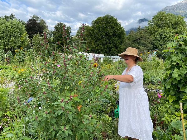 Gartenarbeit im Beet