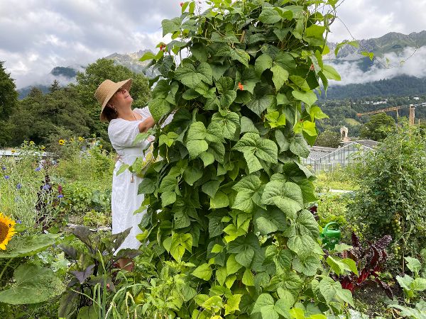 Gartenarbeit im Beet