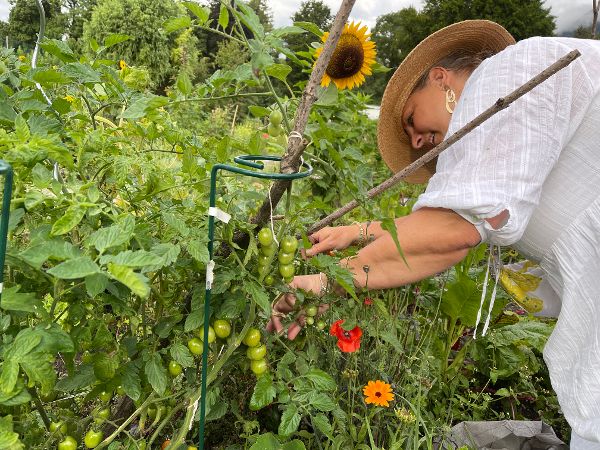 Gartenarbeit im Beet