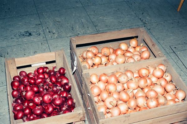 rote und gelbe laaer Zwiebeln