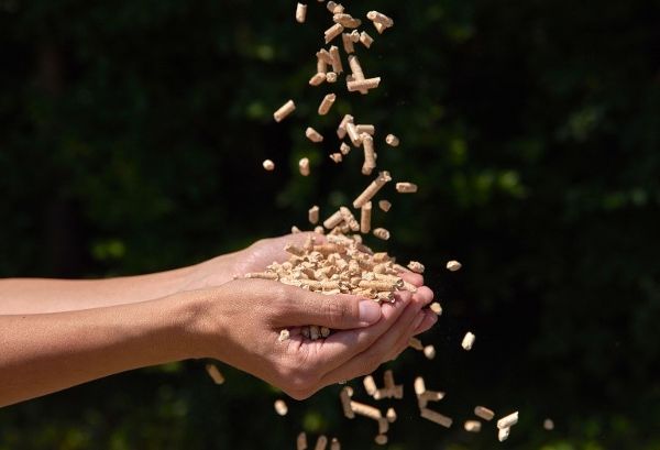 Pellets rieseln herab und werden von zwei zu einer Schale geformten Händen aufgefangen 