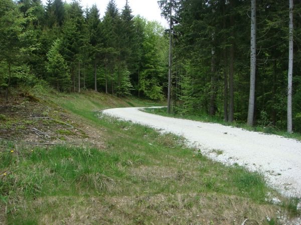 Forststraße