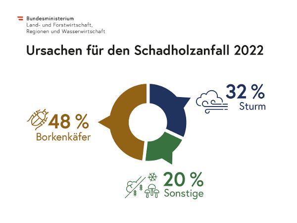 Verteilung des Schadholzes nach Ursache