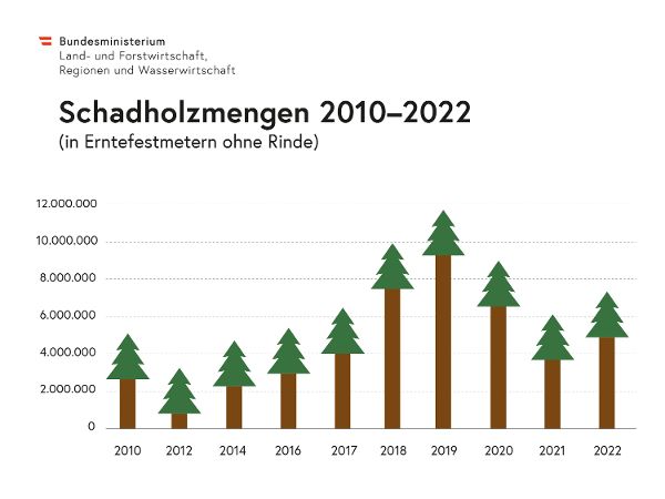 Schadholzanfall seit 2010