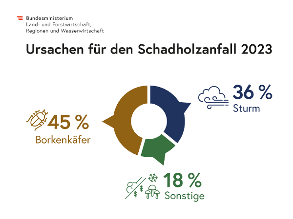 Anteile am Schadholz 2023