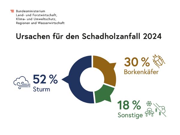 Infografik_Holzeinschlag_250417