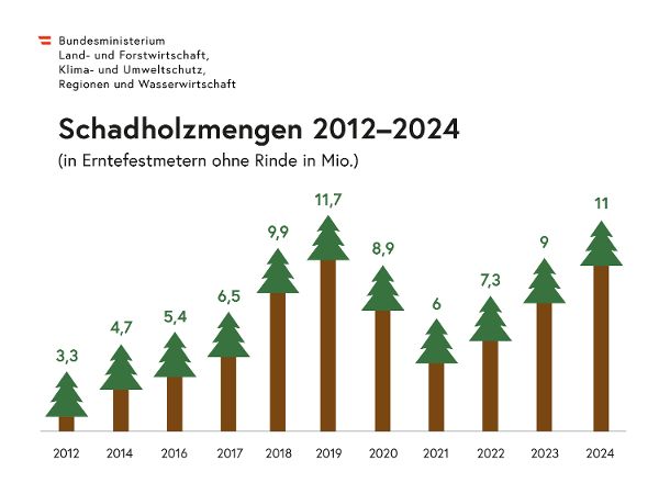 Infografik_Holzeinschlag_250417