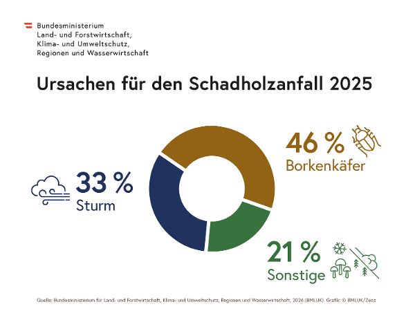 Infografik_Holzeinschlag_260415