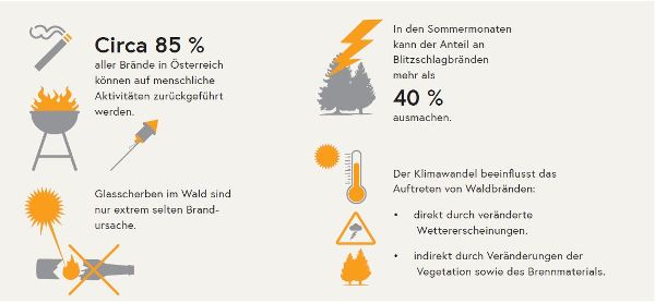 Wie entstehen Waldbrände?