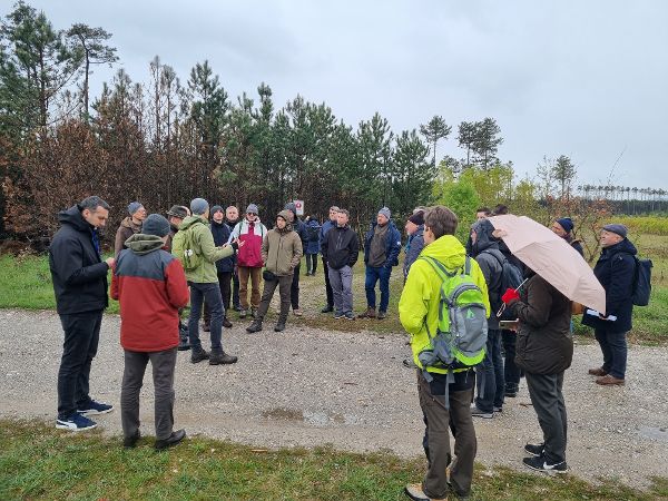 Exkursion in den Föhrenwald